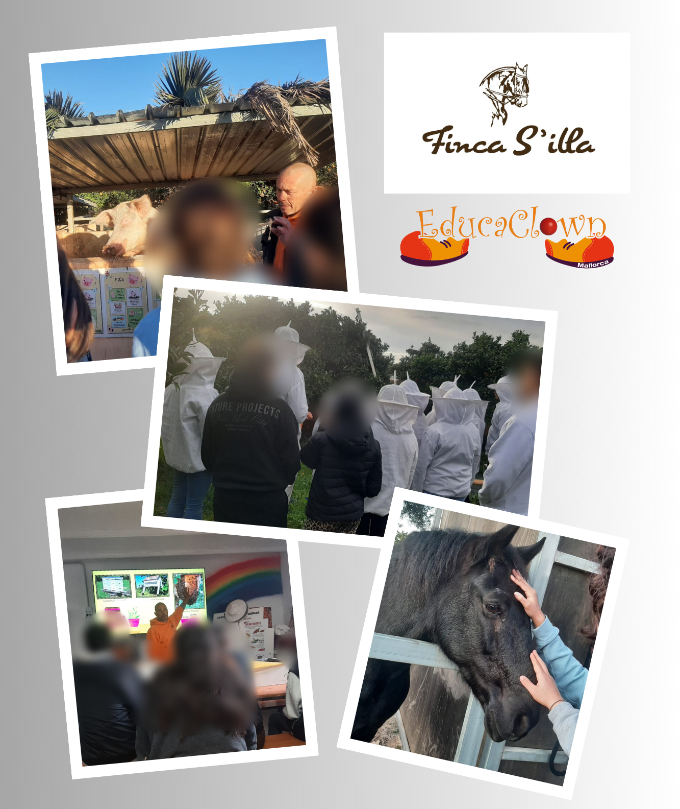 Actividades en la Finca S’illa