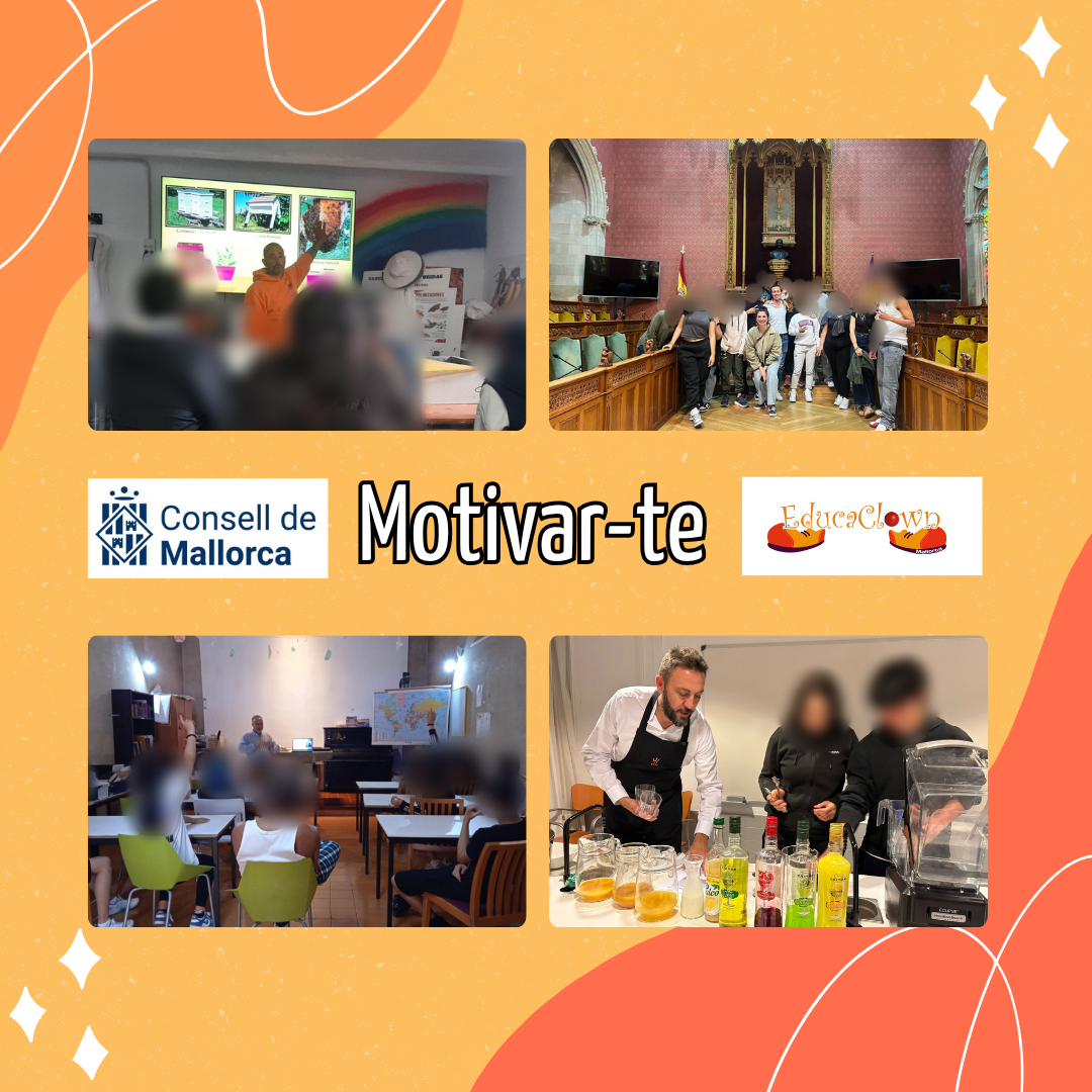 Proyectos de participación ciudadana y voluntariado 2025